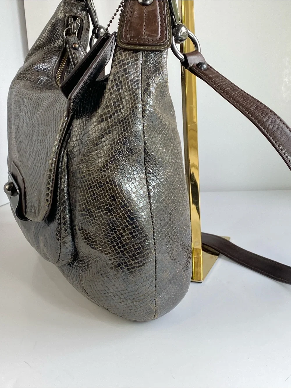 Coach python embossed